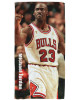 Michael Chicago Bulls NBA Beach Towel
