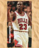 Michael Chicago Bulls NBA Beach Towel