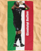 Gianluigi Buffon National Team Beach Towel Italy Fan Edition